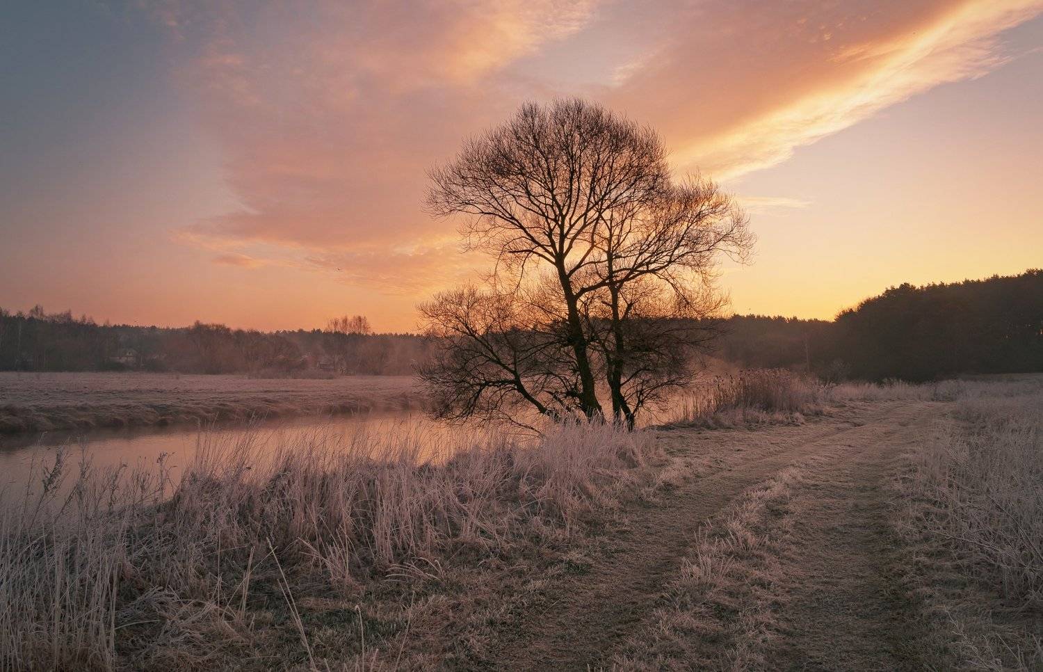 утро, свислочь, туман, весна, пейзаж, Александр Гвоздь