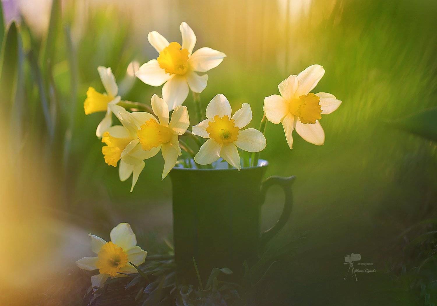 , Инна Сухова