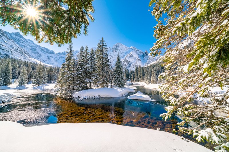 Polska, tatry, gory, drzewa, krajobraz, widok, słońce, morskie oko, śnieg, zima, rybi potok, dolina Rybi Potok фото превью