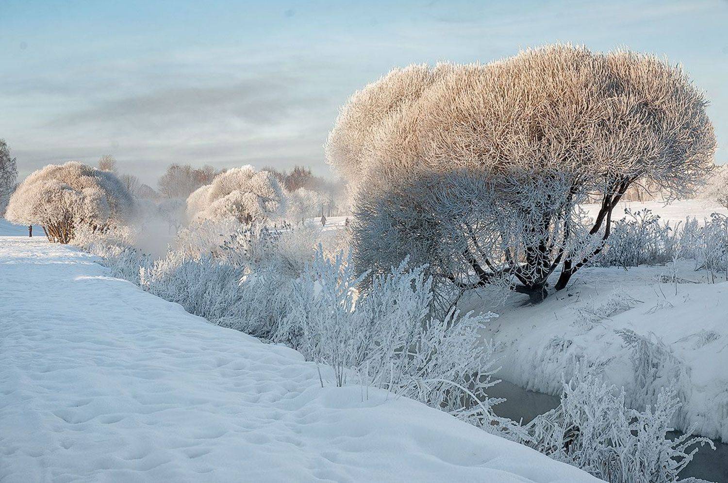 , Татьяна Москальчук
