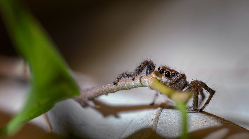 Боимся... фото превью