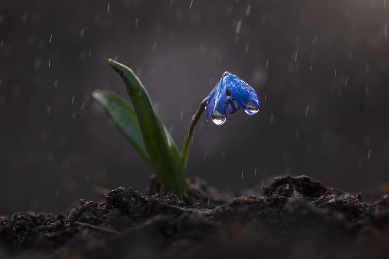 Весенние зарисовки фото превью