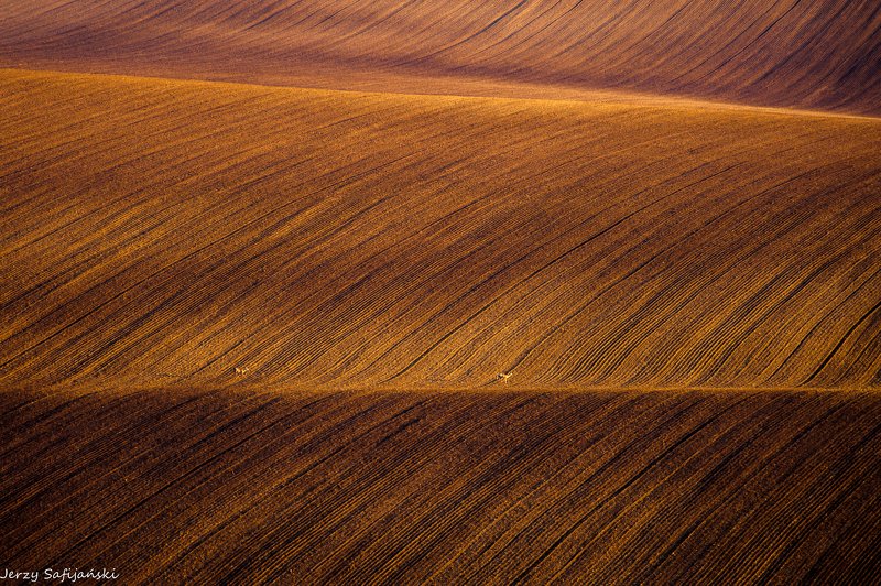 I walk around Moravia фото превью