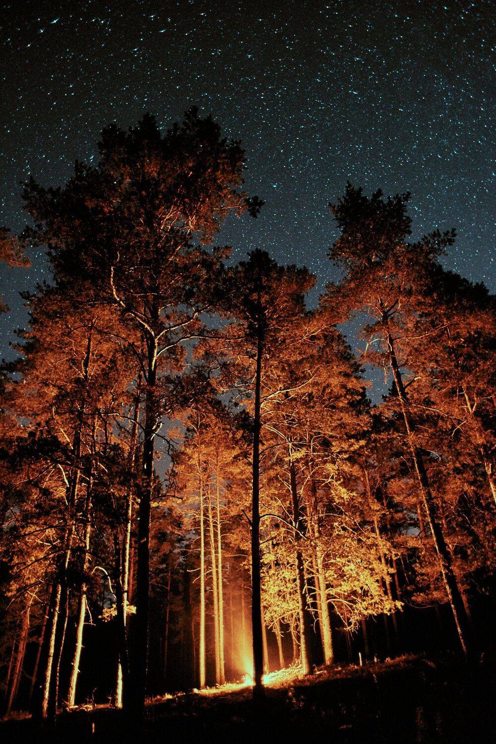 , Александр Фанковин