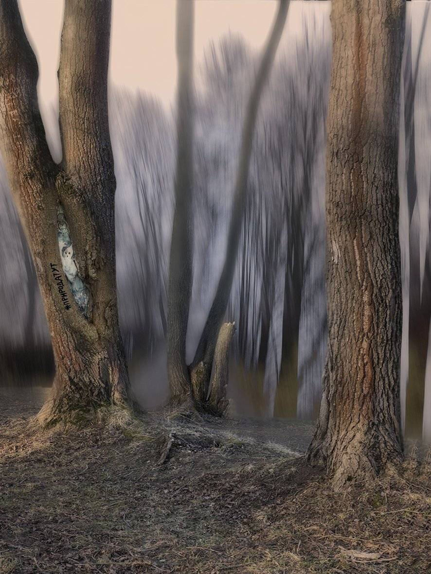 , T. Bondarenko