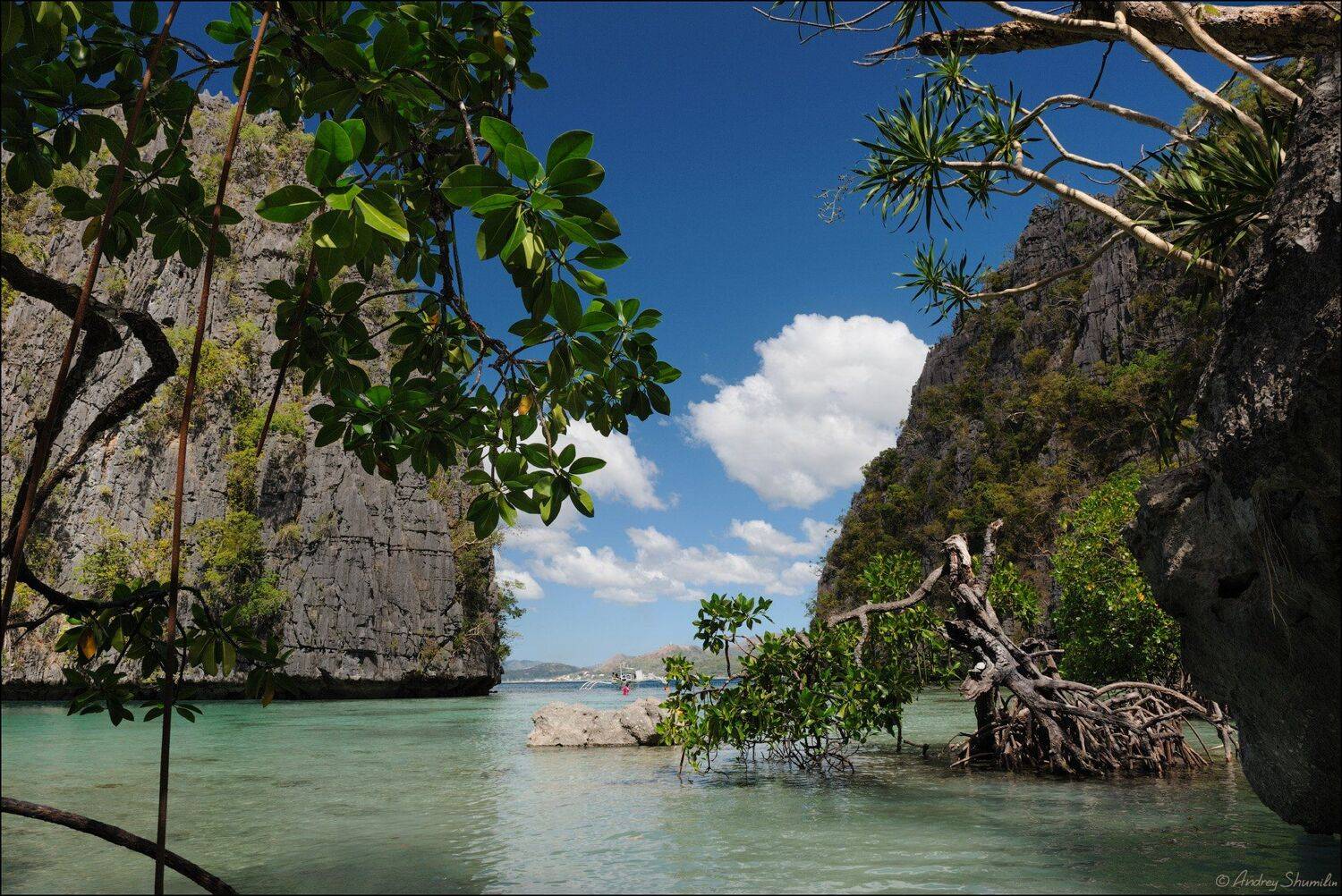 , Андрей Шумилин