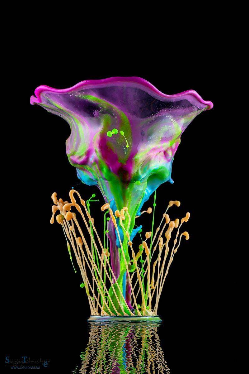 , Сергей Толмачев