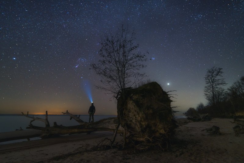 ночь, звезды, созвездия, орион, м42, венера, дерево, ветки, пень, пенёк, пляж, песок, вода, река, водохранилище, человек, фонарь, весна Жизнь и смерть. Союз фото превью