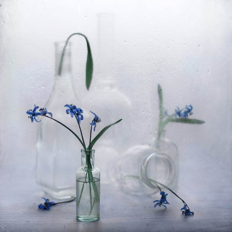 пробуждение фото превью