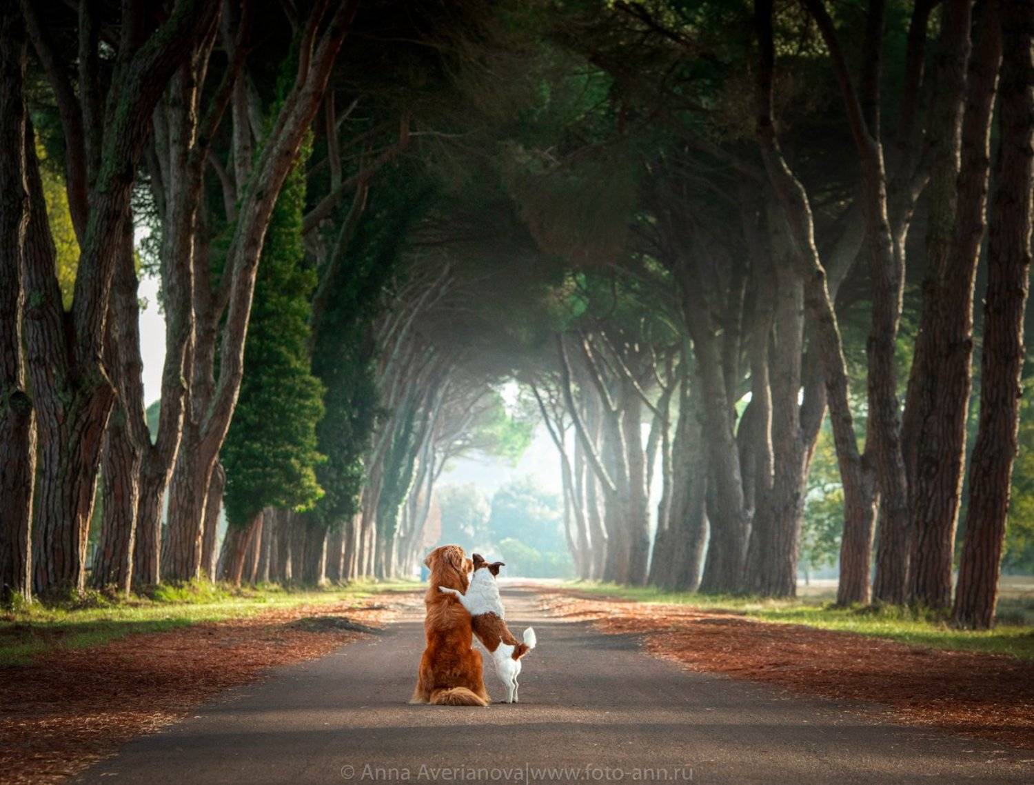 , Анна Аверьянова