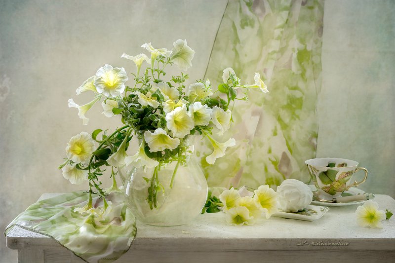 Петуния фото превью