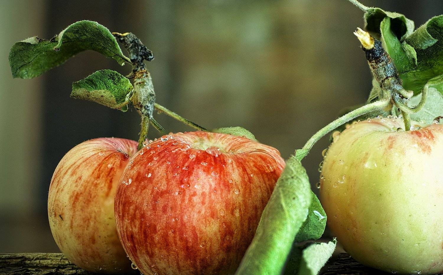 , Бусыгин Борис