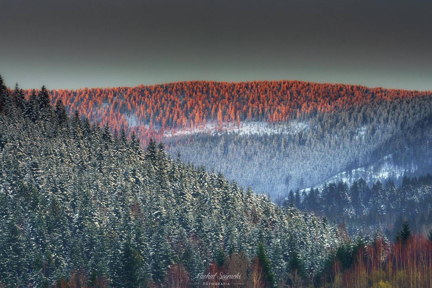 #tree #moon #color #mountains #landscape #poland #pentax #sunset, Michał Sośnicki