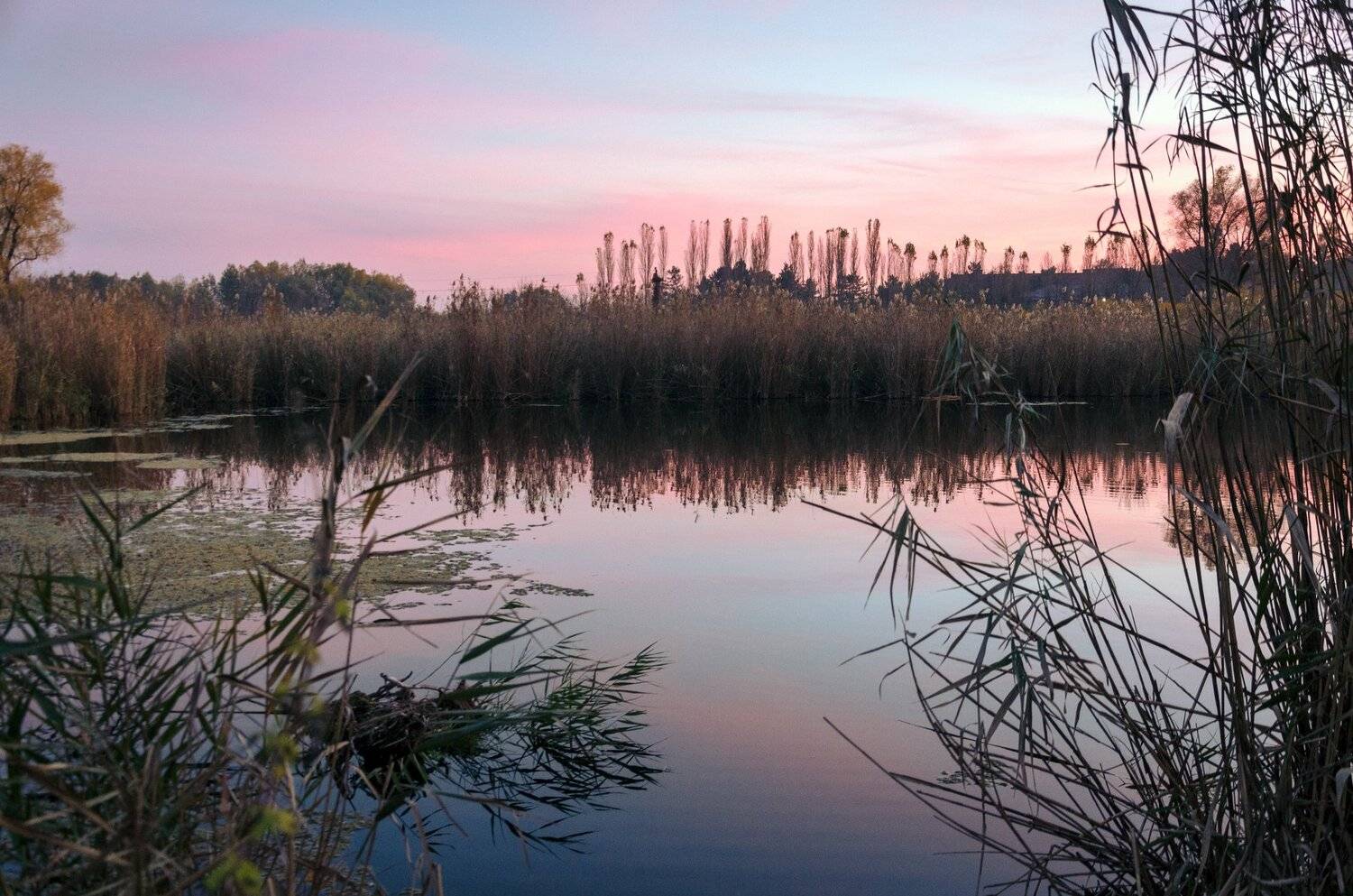 , Алексей Рыльский