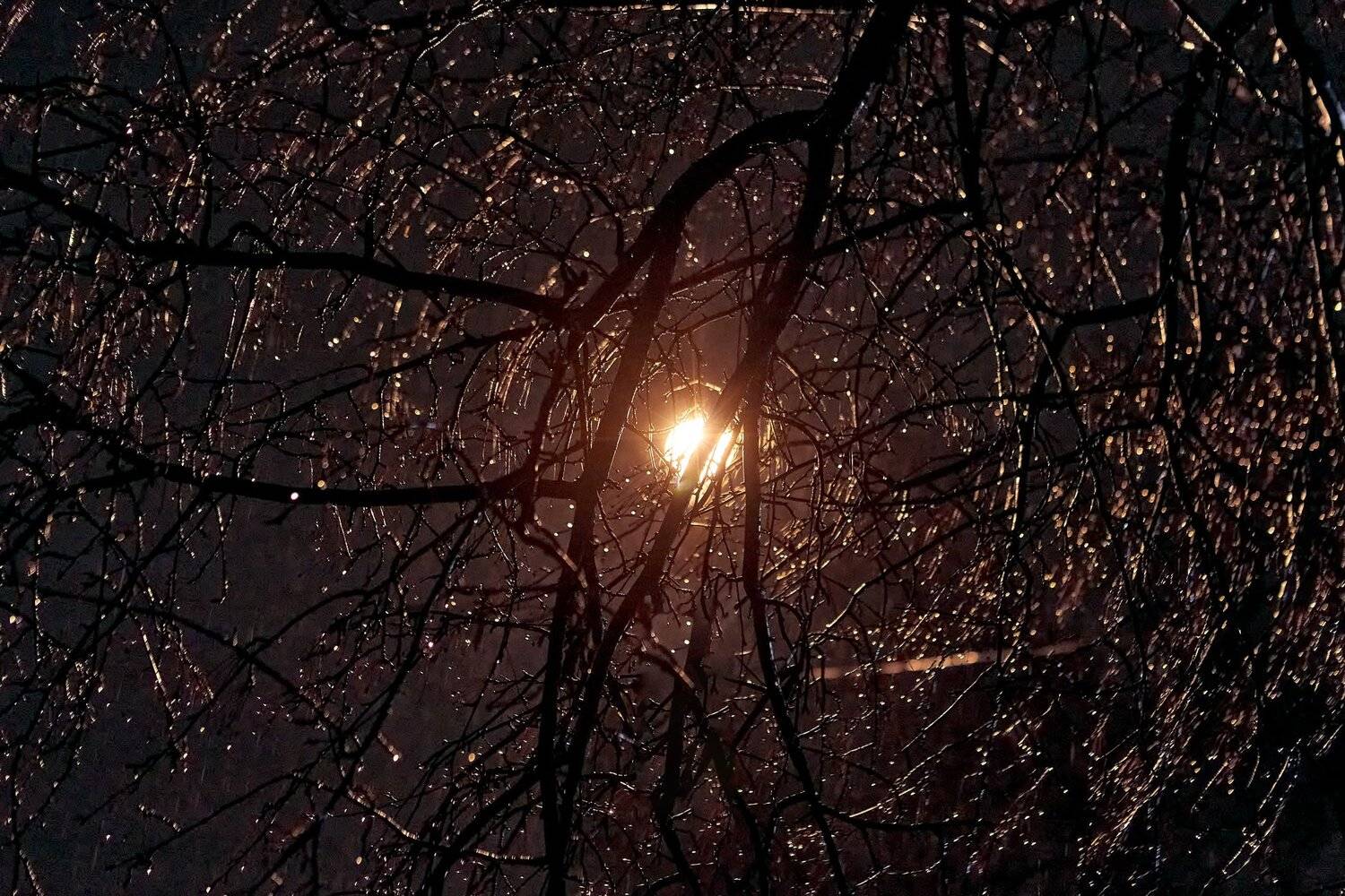 южный урал,оренбургская область, орск, новотроицк,, Качурин Алексей