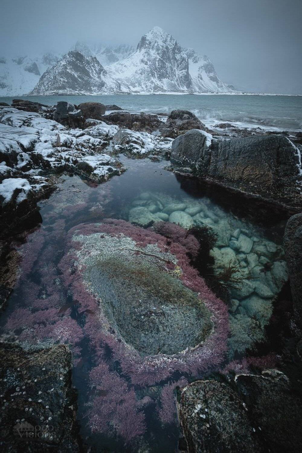lofoten,norway,norwegian,winter,sea,seascape,mountains,wintertime,, Adrian Szatewicz