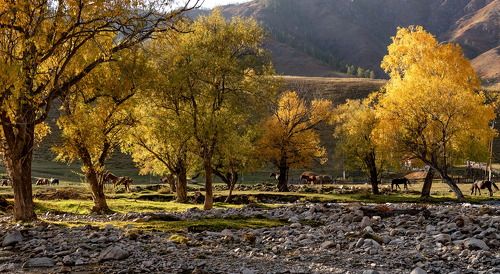Обычный алтайский вечер.
