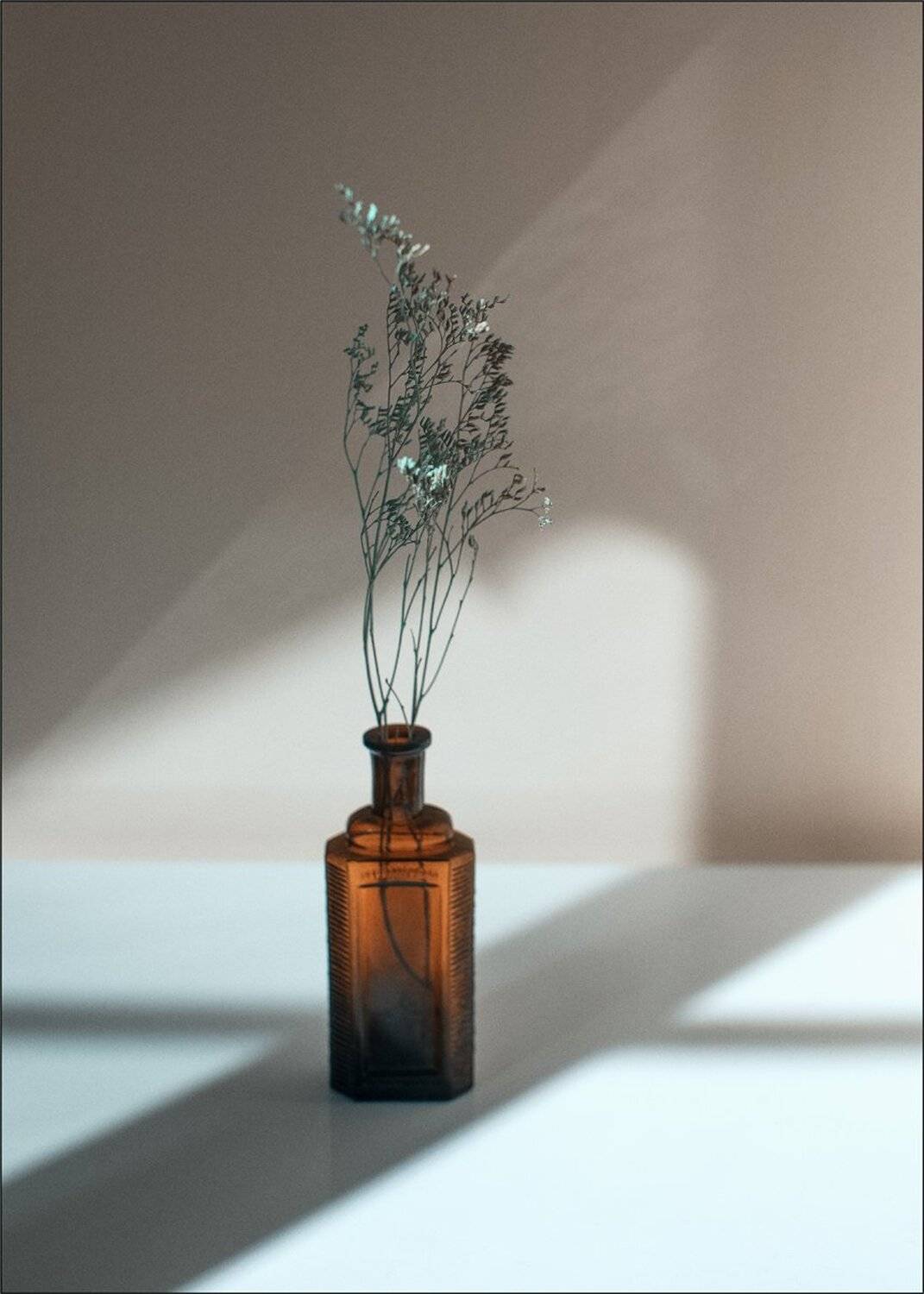 , Ариадна Белкина