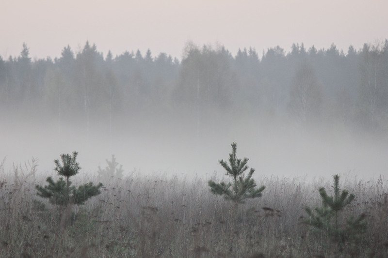 Валдай фото превью