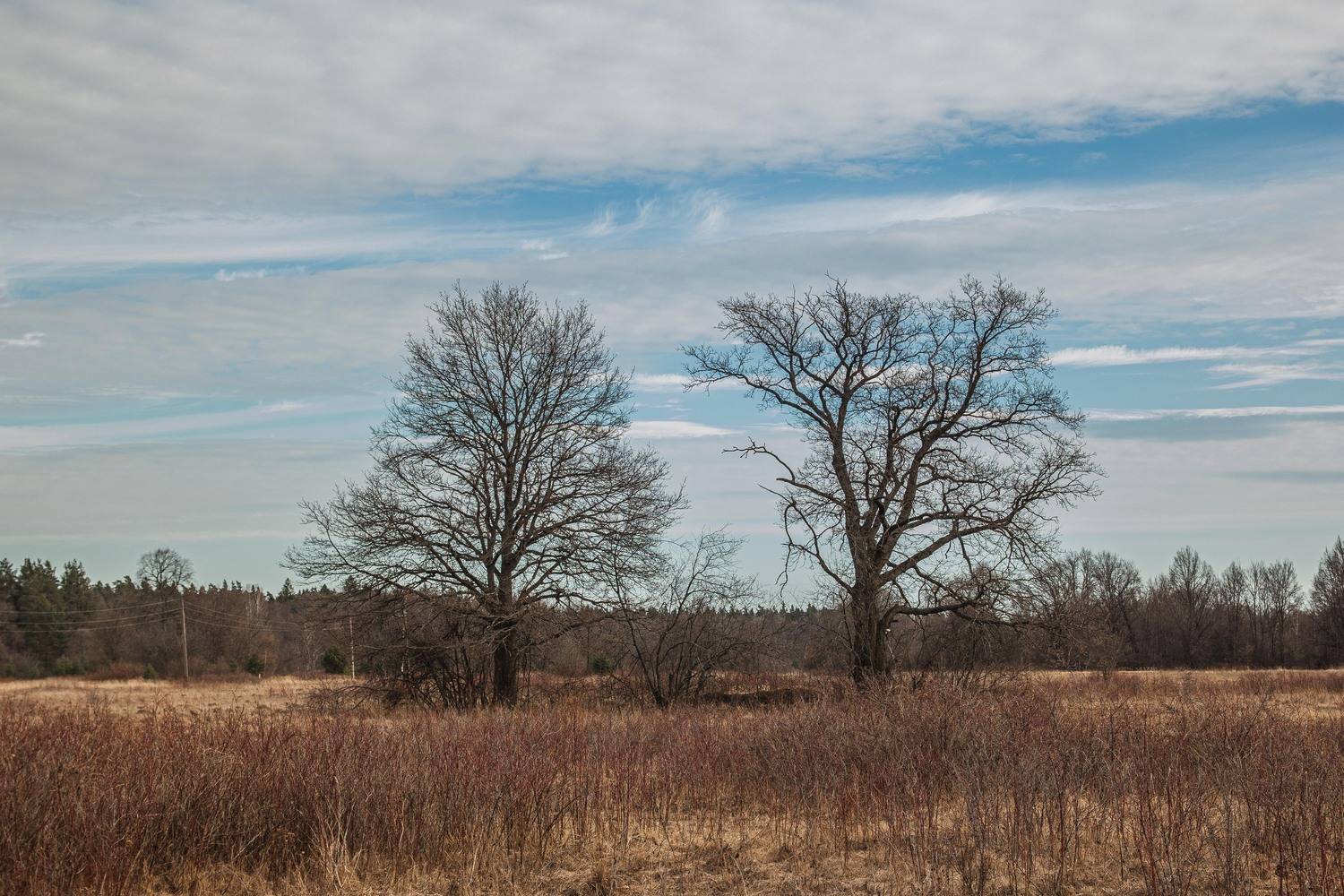 пейзаж, кулебаки, landscape, весна, spring, Владимир Васильев