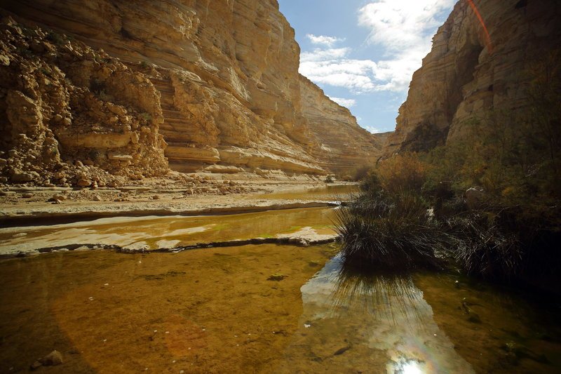 israel, израиль, каньон, эйн, ein, авдат, עין עבדת‎, avdat Авдат фото превью