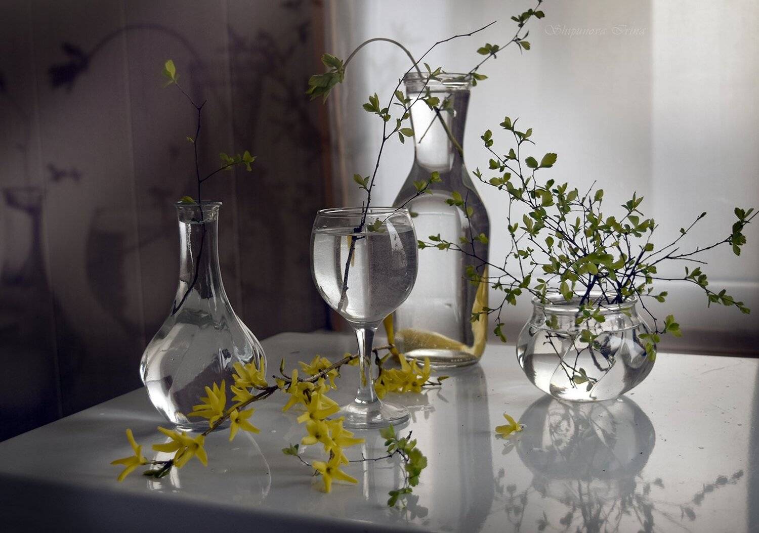 , Шипунова Ирина