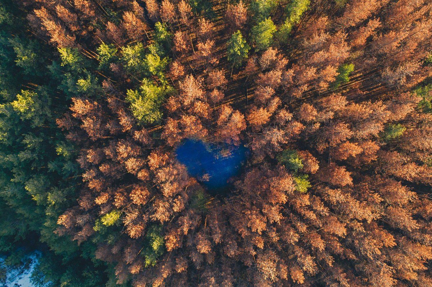 , Мартин Методиев