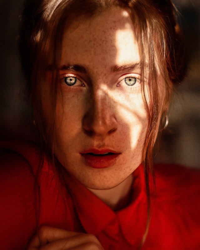 Sunlight фото превью
