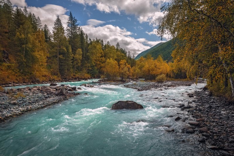 Осень фото превью