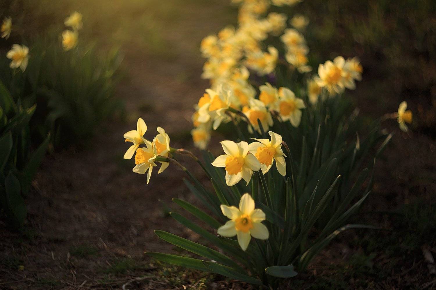 , Инна Сухова