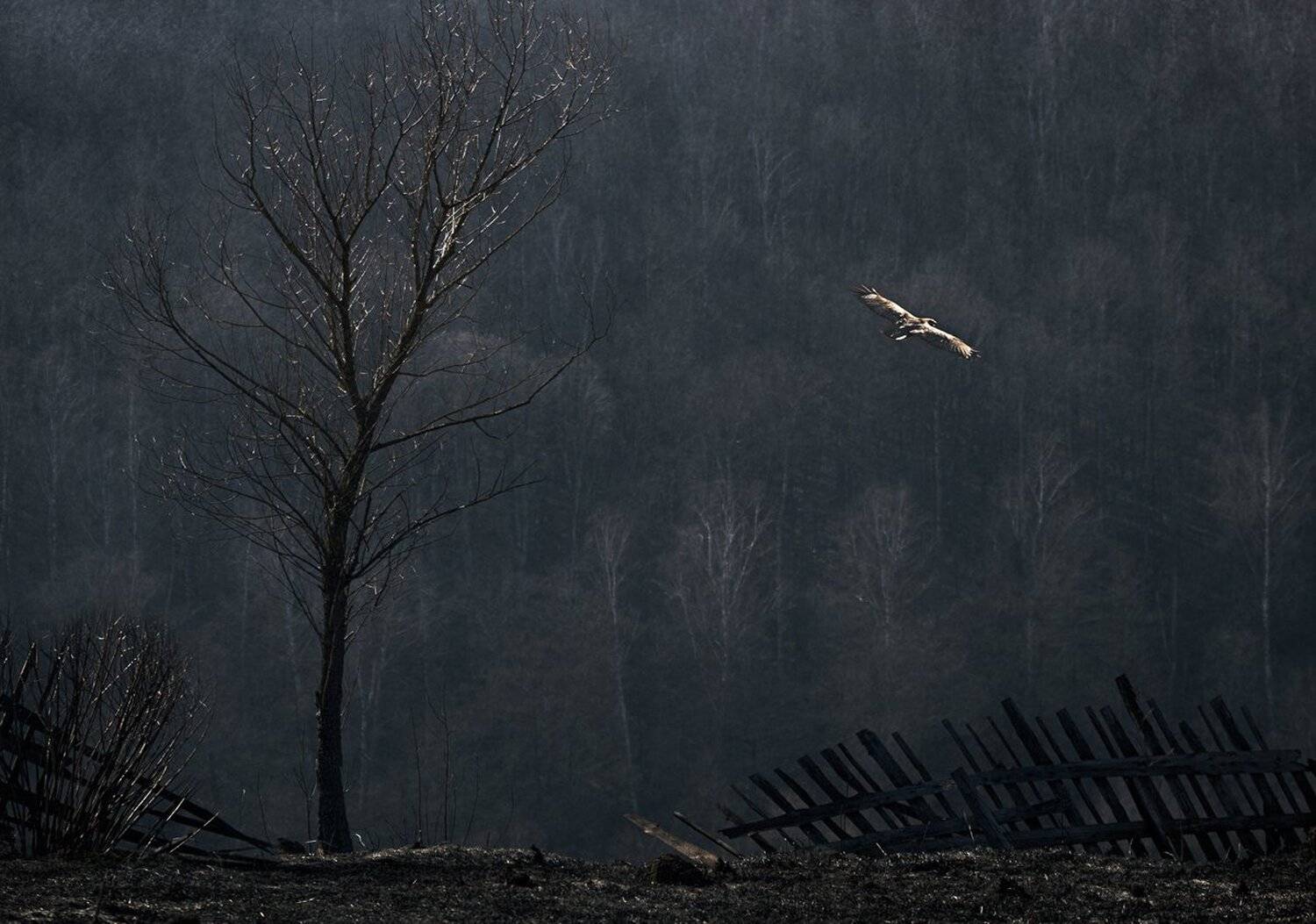 , Баранов Олег