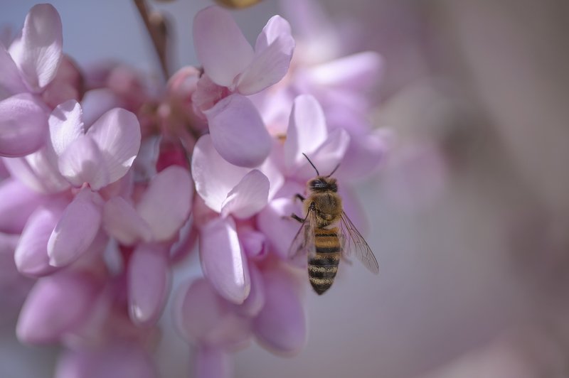 По весеннему.. фото превью