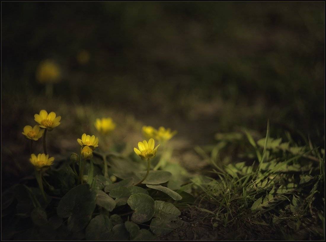 , Александр Хромеев