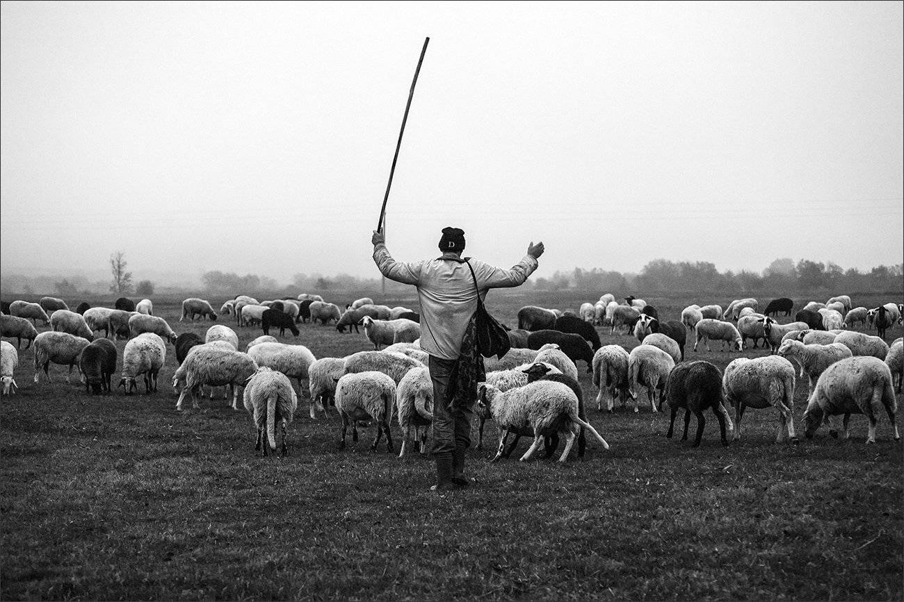 bw, bnw, street, portrait, 35mm, composition, чб, портрет, уличнаяфотография, композиция, xt3, fujifilm, Denis Buchel (Денис Бучель)
