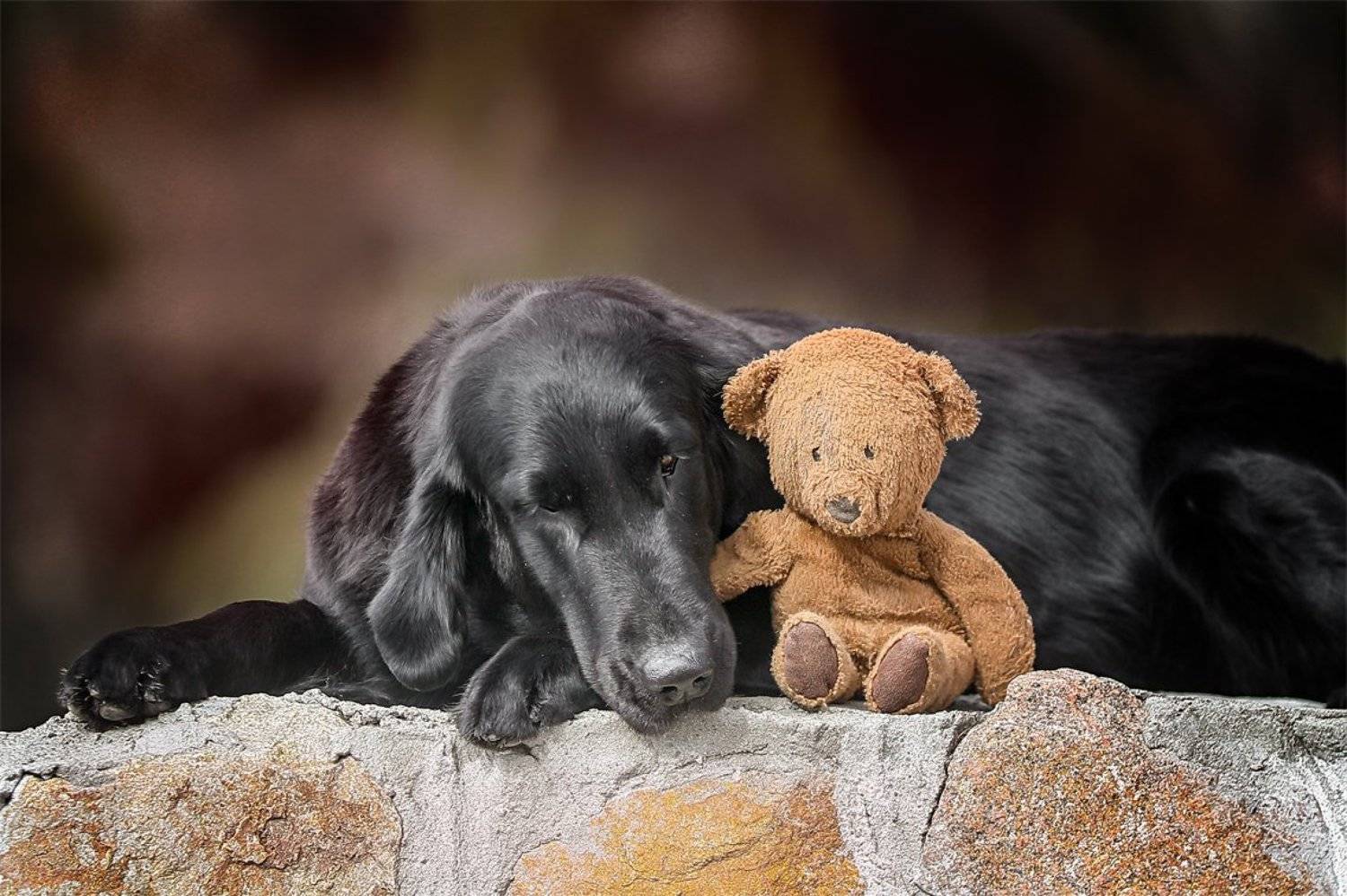 , Андрей Ершов