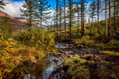 Среди северных гор