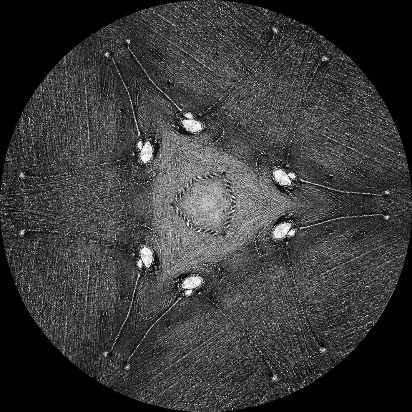 37, тридцать семь воинов, обсерватория, аэросъёмка, Казахстан, курган с усами, археология, эзотерика, скифы, саки, история, астроархеология, менгир, Маргулан, святилище, памятник, достопримечательность, ЮНЕСКО, кромлех, сакральное место, мегалит, thirty-s, Борис Резванцев