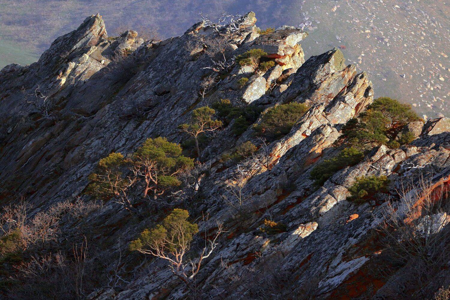 горы,вершины,пейзаж,небо,деревья,дагестан,природа, Marat Magov