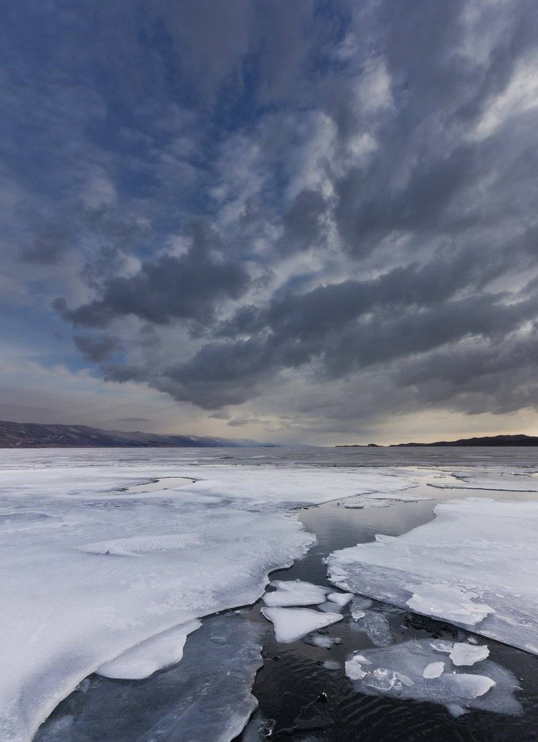 , Алексей Трофимов