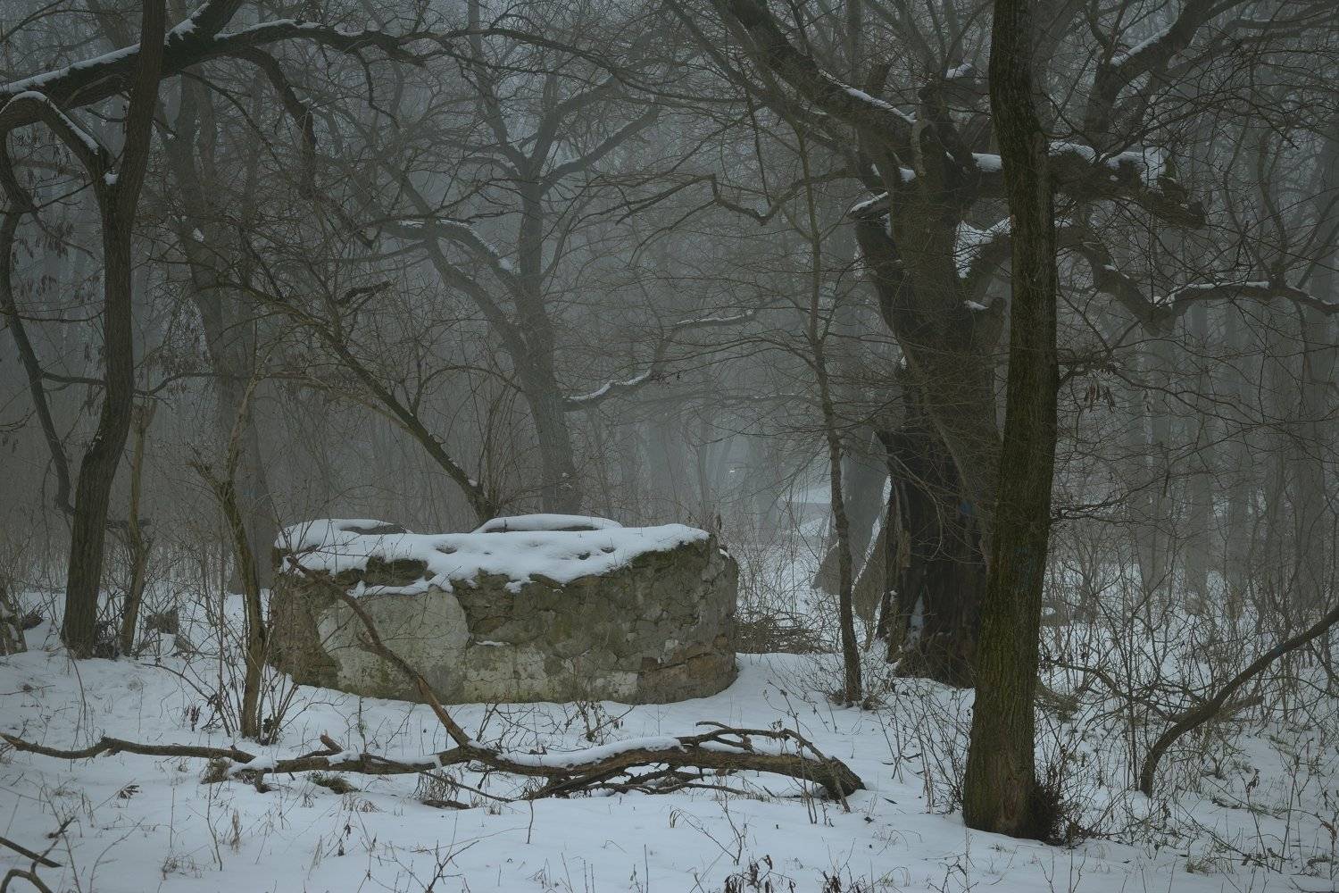 зима утро туман больница, Александр Жарников