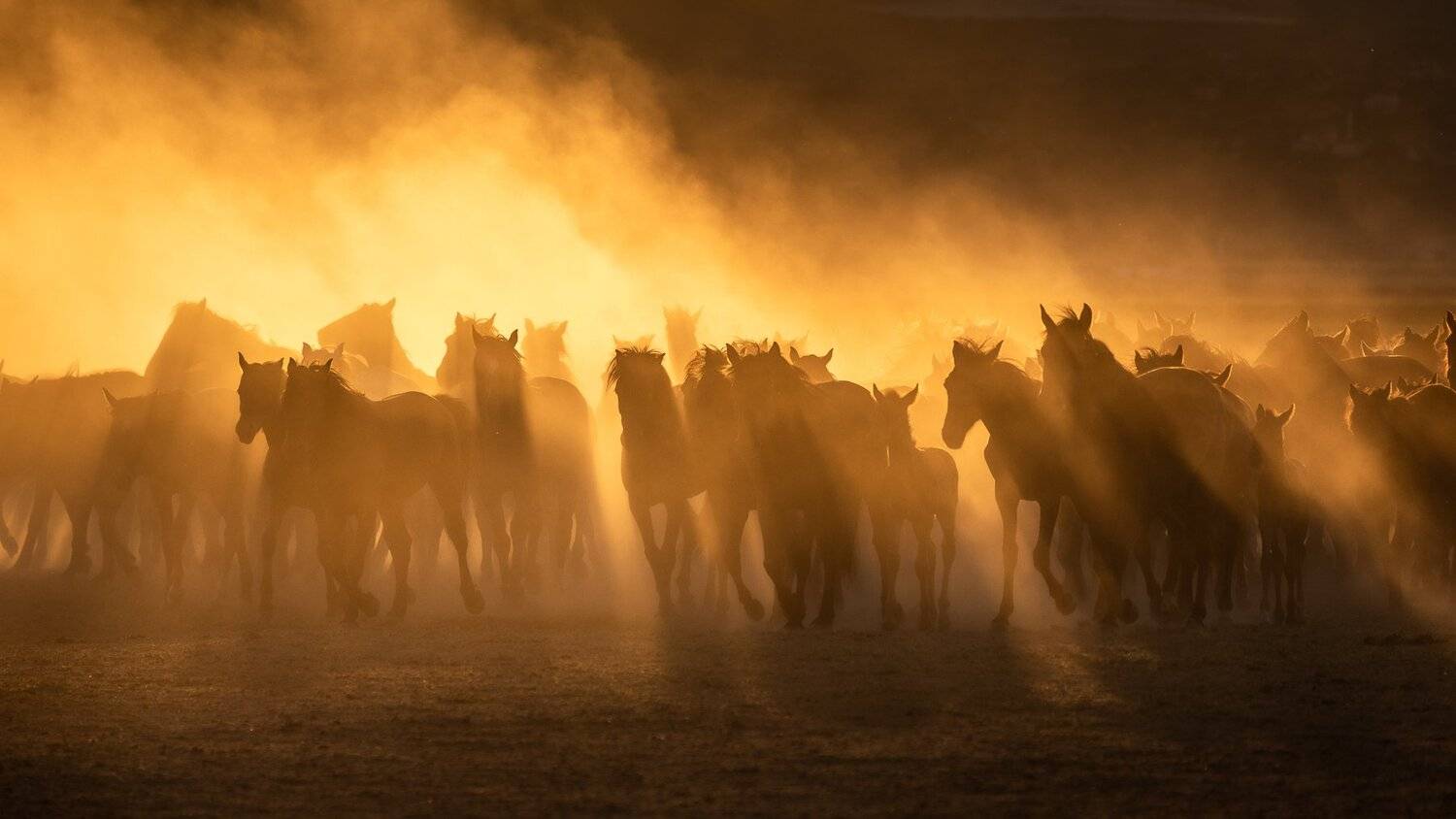 , Pawel Uchorczak