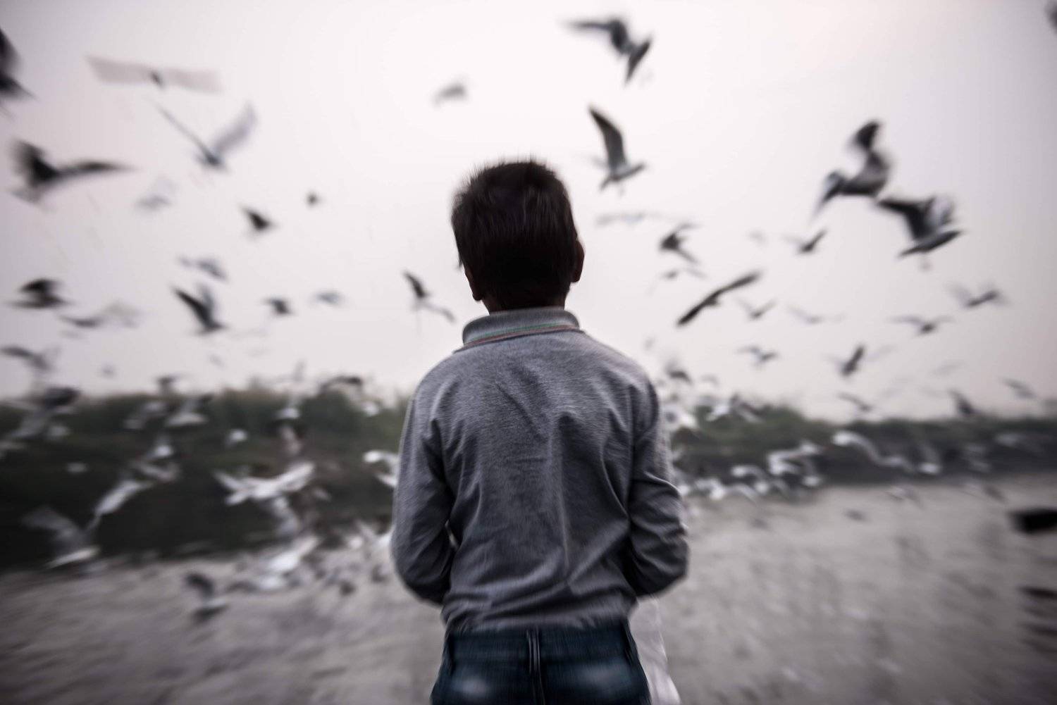 freedom, Parvez Masud