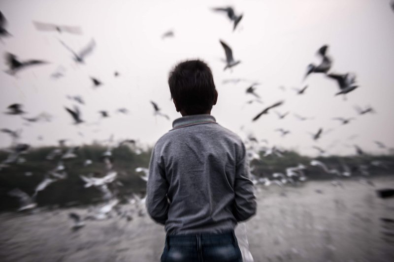 freedom Freedom фото превью