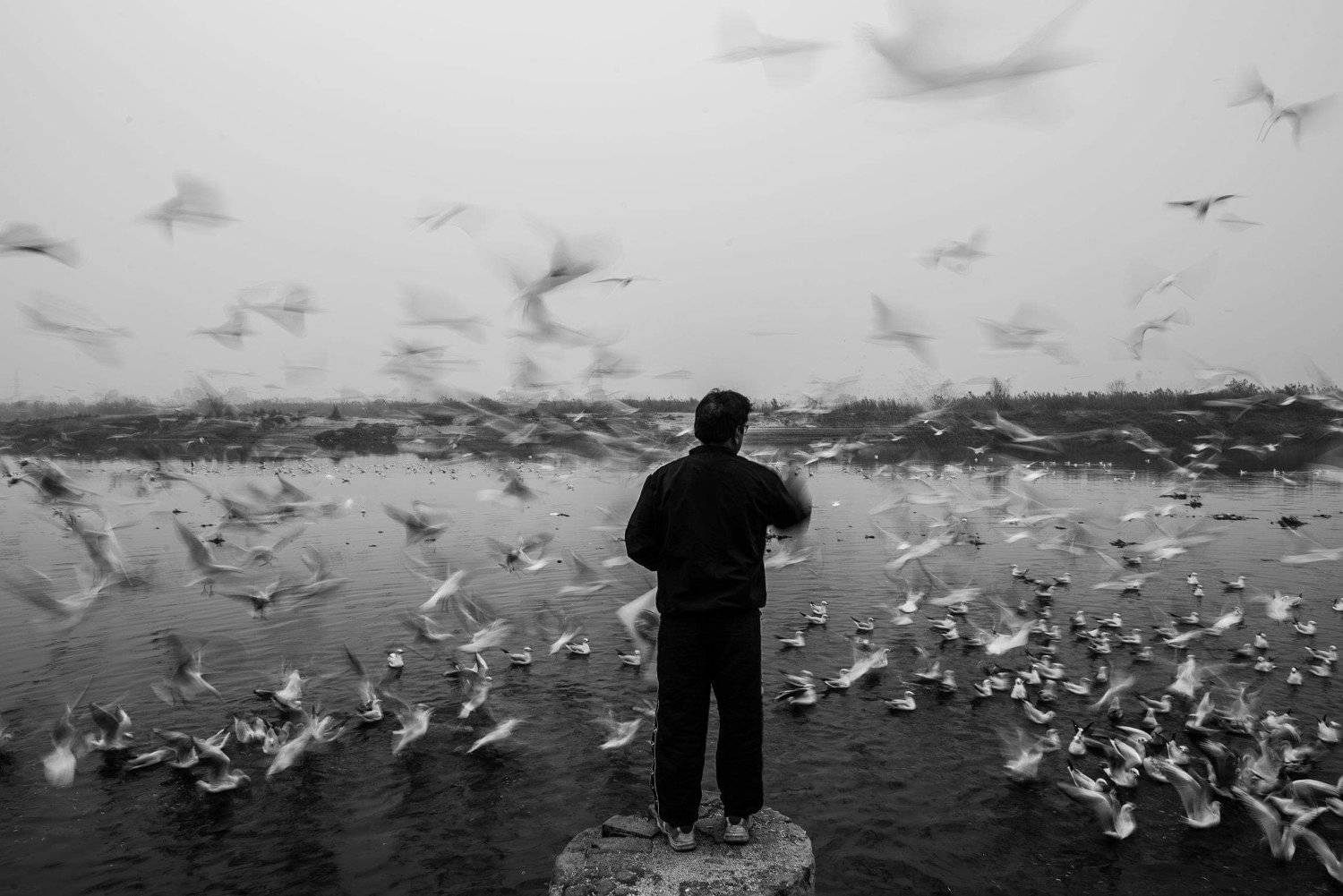 freedom, Parvez Masud