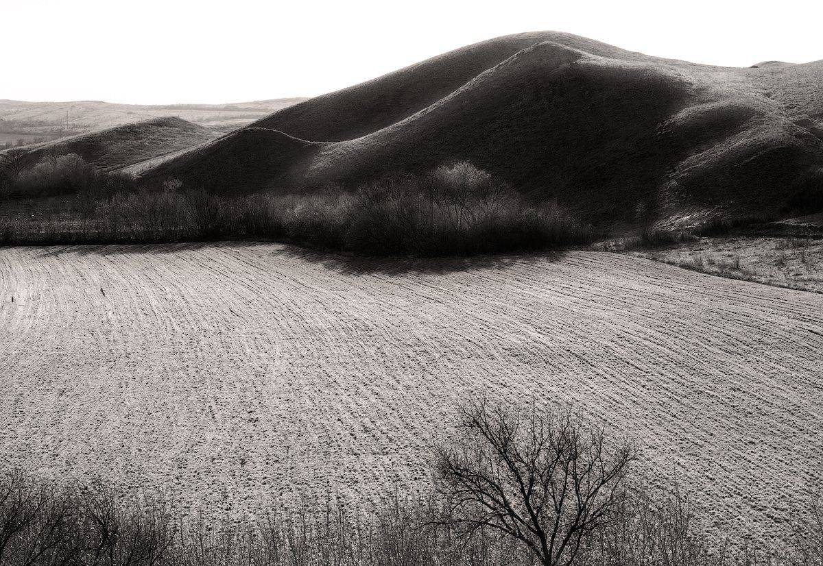 на земле степных драконов, Дитковский Евгений
