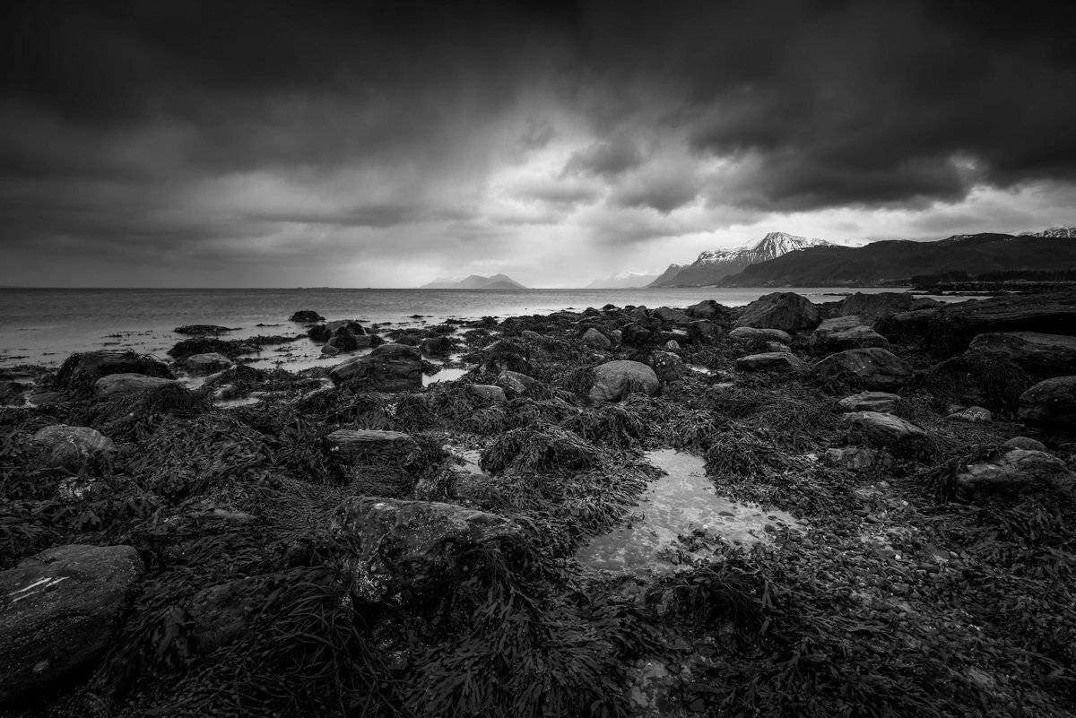 norway,landscape,light,b&w, Tomek Orylski