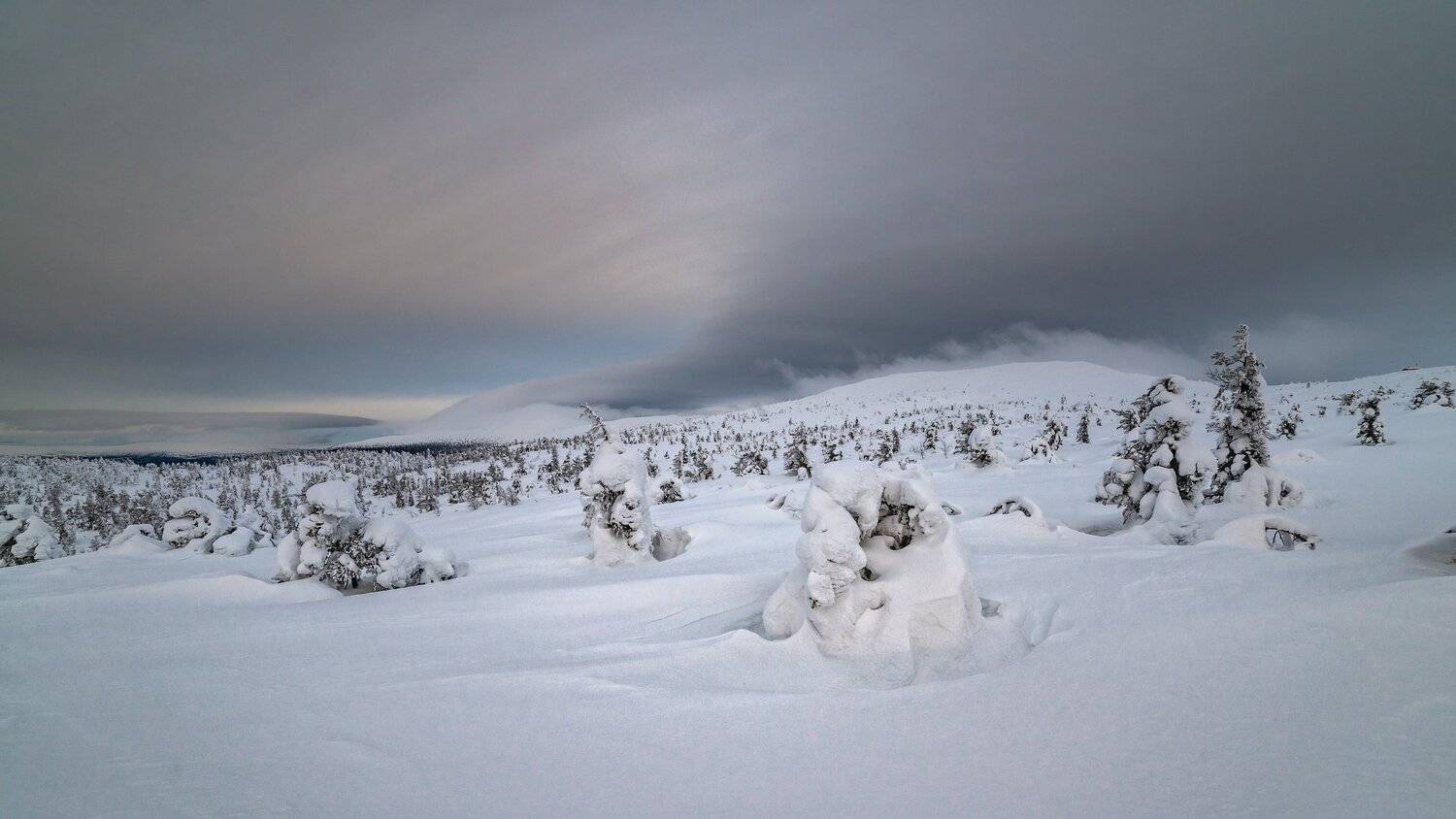север, кольский, заполярье, кандалакша,гора волостная, Роман Горячий