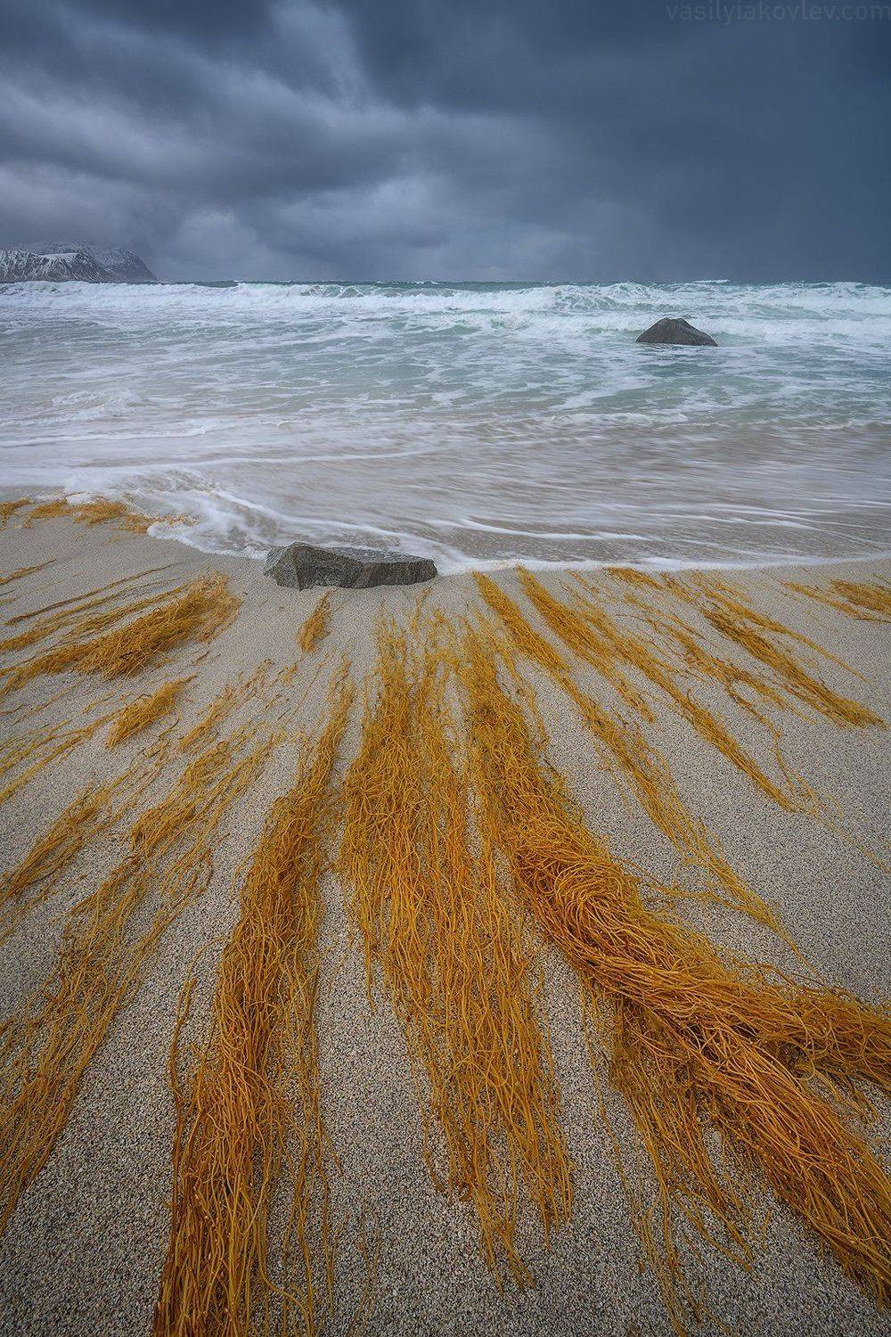 лофотены, фототур, норвегия, яковлевфототур, василийяковлев,, Василий Яковлев