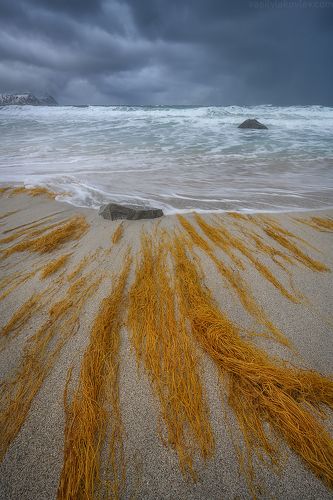 Vikten Beach