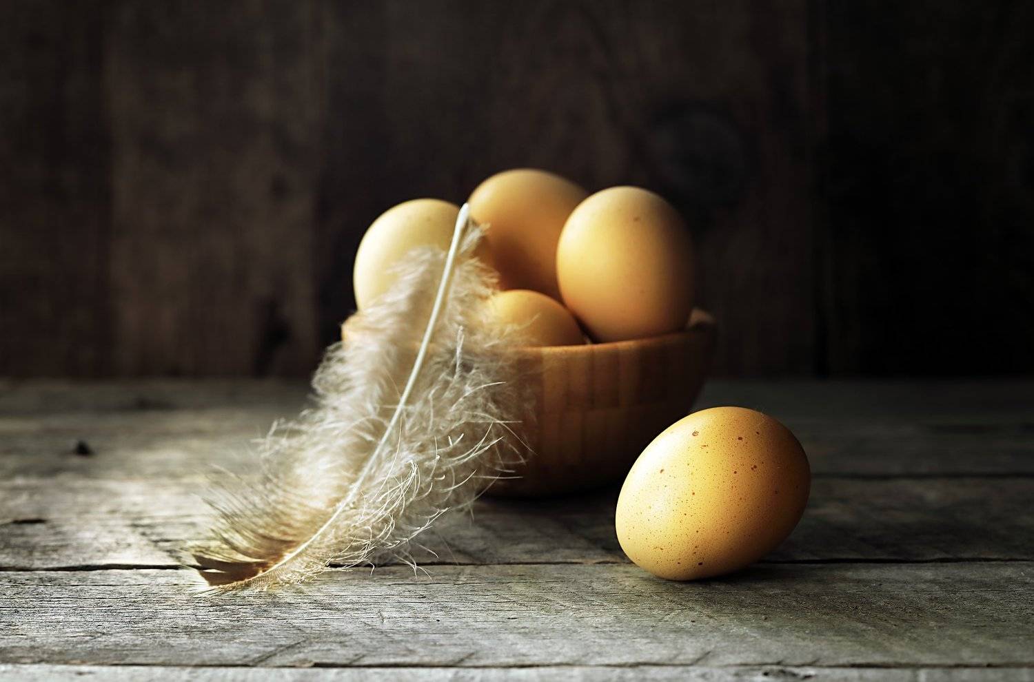 , Наталья Бочкарева